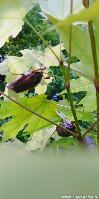 С днём Победы — Советские винтажные куклы (СССР): Ленигрушка (фото 10)