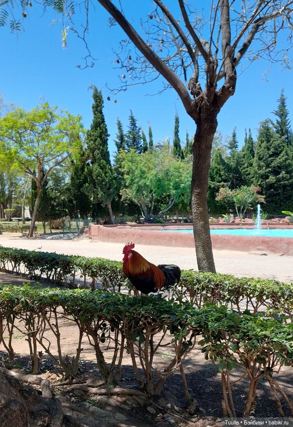 Паола в Парке наций — Куклы Paola Reina (Паола Рейна): новинки