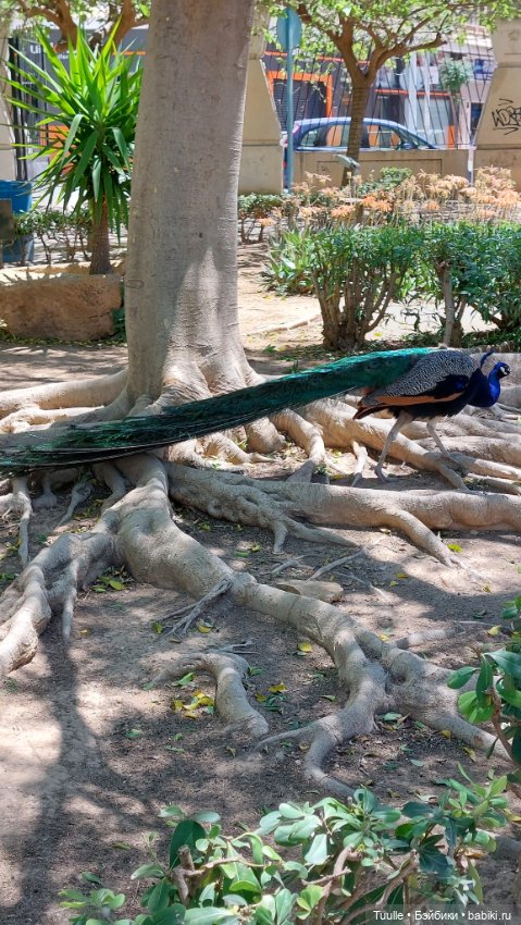 Паола в Парке наций — Куклы Paola Reina (Паола Рейна): новинки (фото 8)