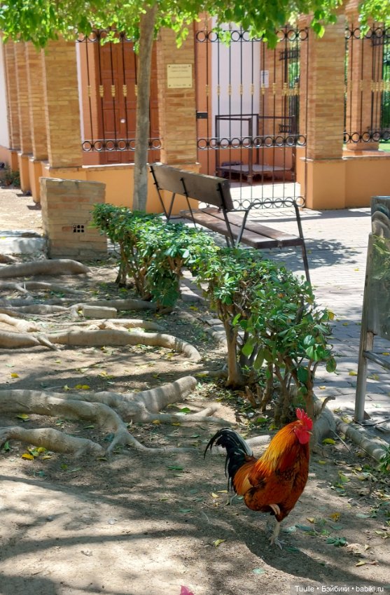 Паола в Парке наций — Куклы Paola Reina (Паола Рейна): новинки