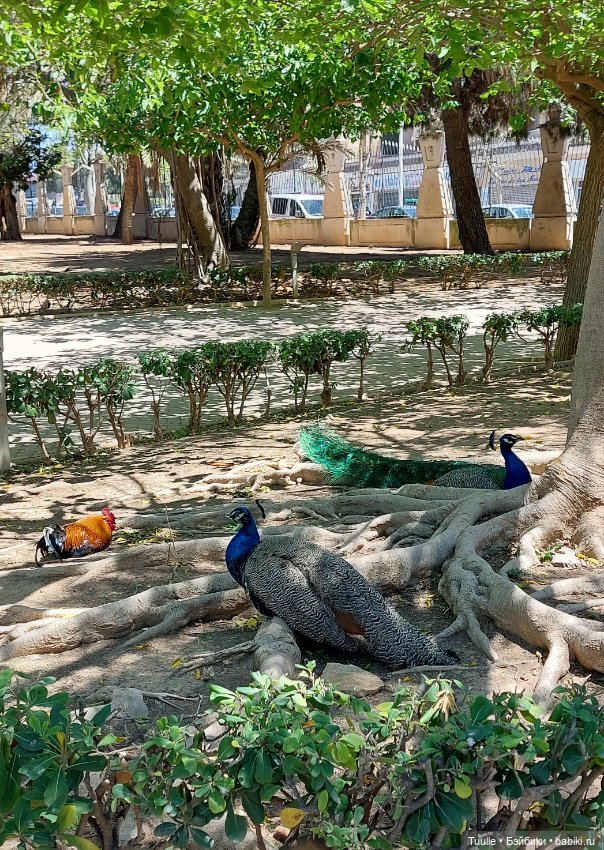 Паола в Парке наций — Куклы Paola Reina (Паола Рейна): новинки