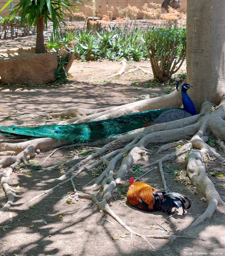 Паола в Парке наций — Куклы Paola Reina (Паола Рейна): новинки