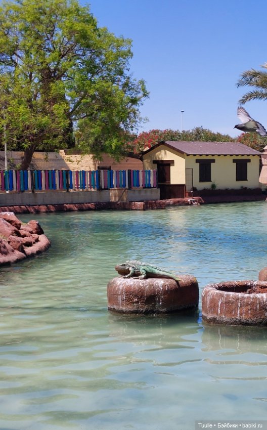 Паола в Парке наций — Куклы Paola Reina (Паола Рейна): новинки