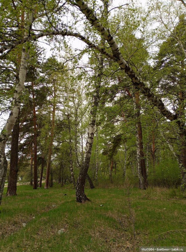 Ещё один наш новенький — Аналоги Барби и куклы 1/6: клоны 90