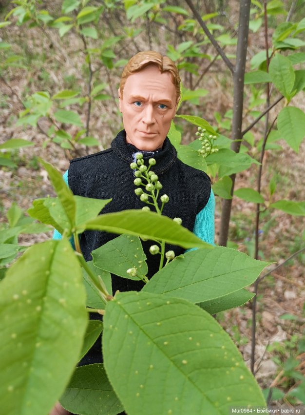 Ещё один наш новенький — Аналоги Барби и куклы 1/6: клоны 90 (фото 10)