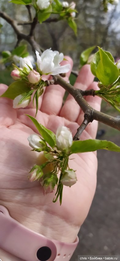 Мигель — Игровые куклы разных производителей (Разное): редкие бренды (фото 7)