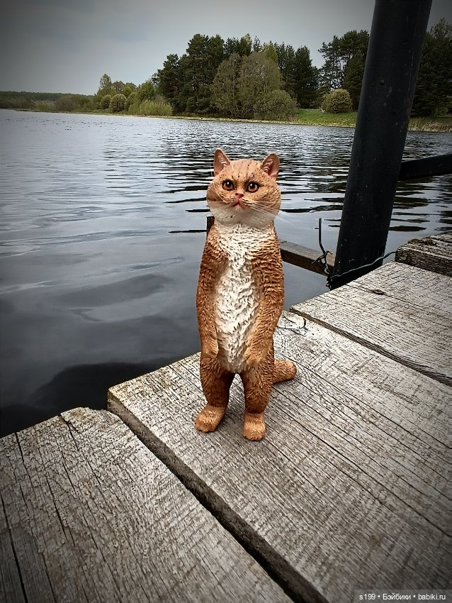 Кому повезло выбраться на природу