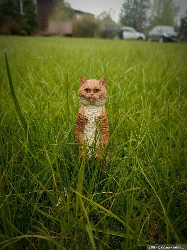 Кому повезло выбраться на природу