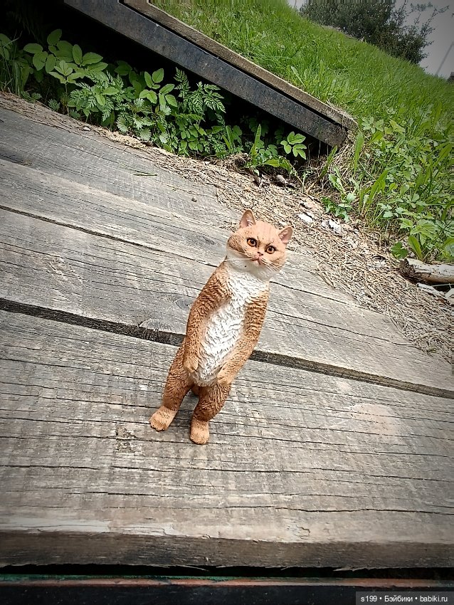 Кому повезло выбраться на природу