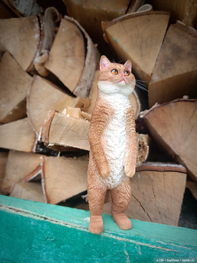 Кому повезло выбраться на природу