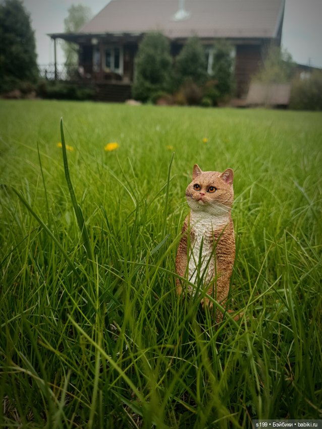 Кому повезло выбраться на природу