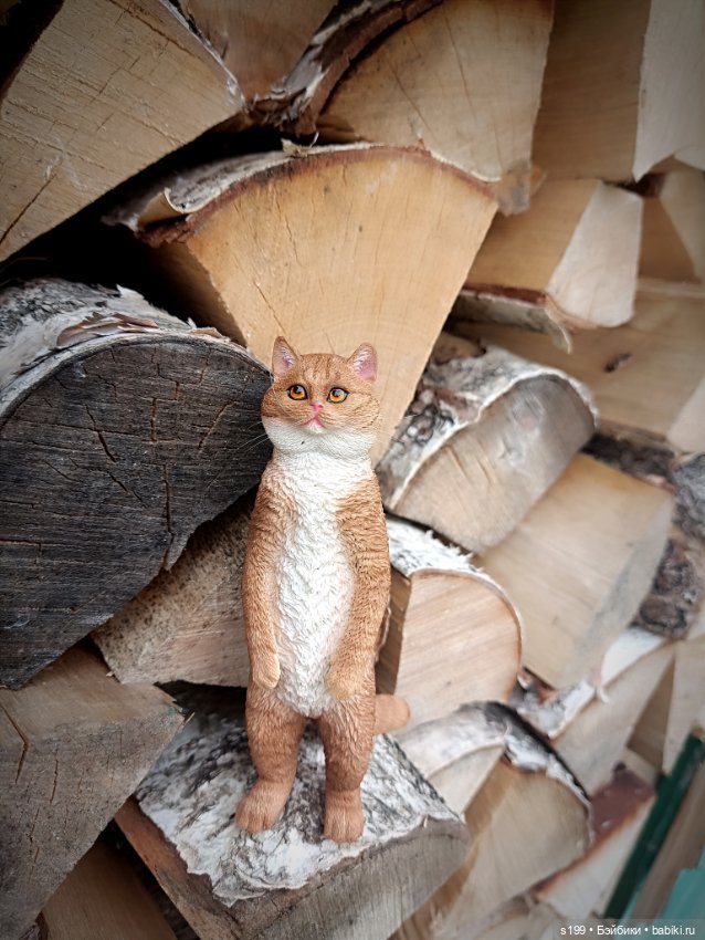 Кому повезло выбраться на природу