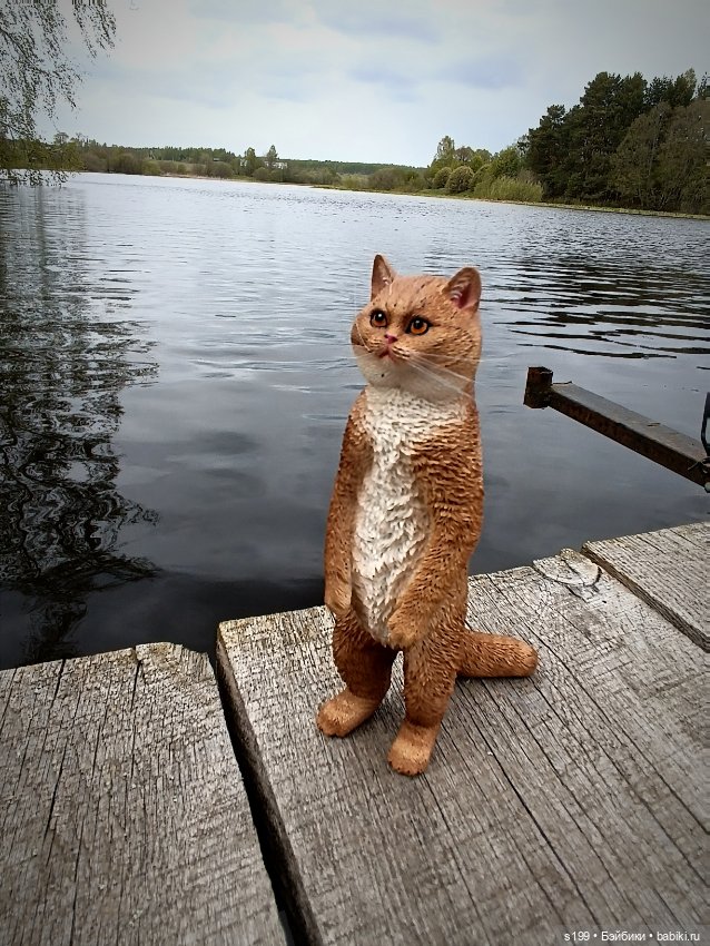 Кому повезло выбраться на природу