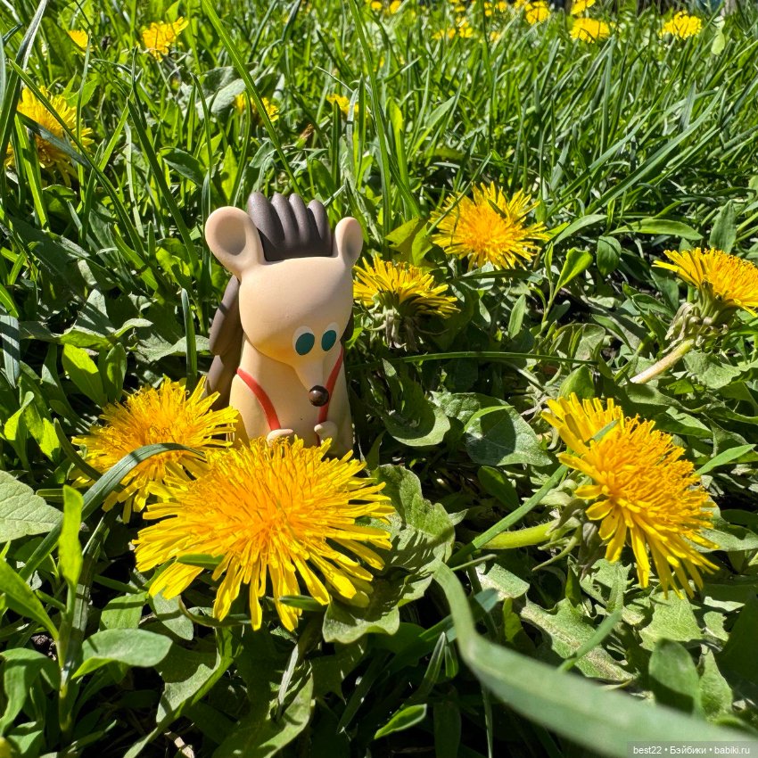 Ёжик Harry — Фигурки Pop Mart (Поп Март): Blind Box (фото 4)