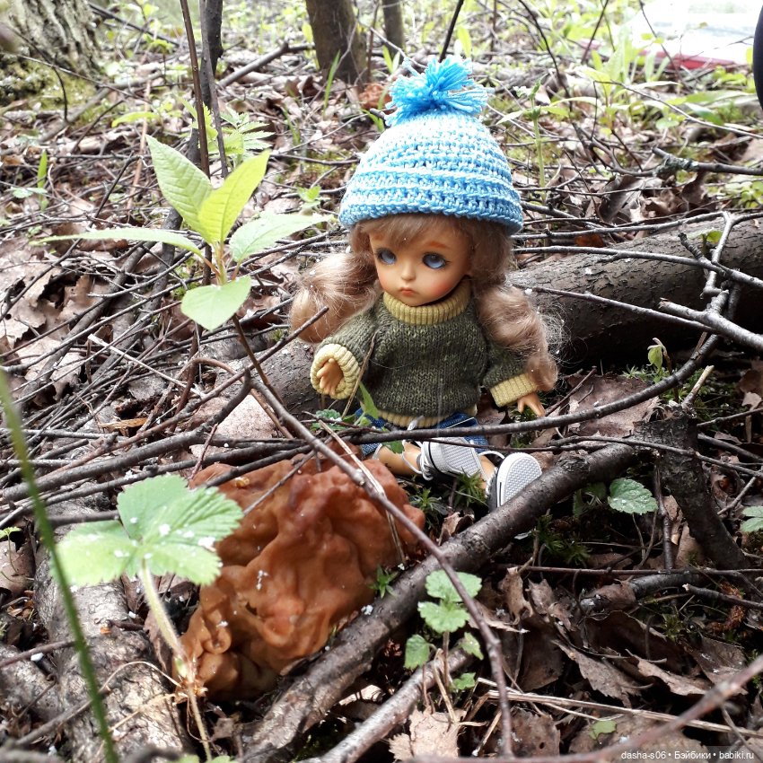 Открытие сезона 2: Охотница за строчками) (фото 4)