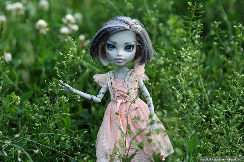 Фрэнки Штейн — Куклы Monster High и Ever After High: G1 (фото 4)