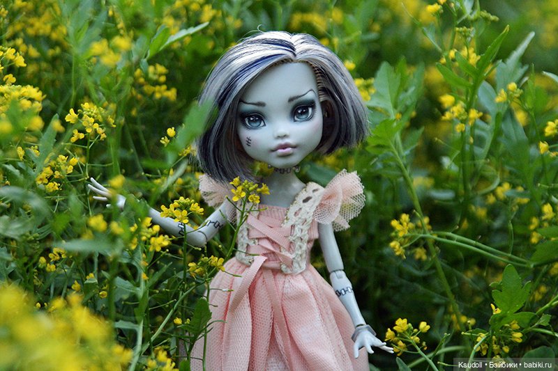 Фрэнки Штейн — Куклы Monster High и Ever After High: G1 (фото 2)