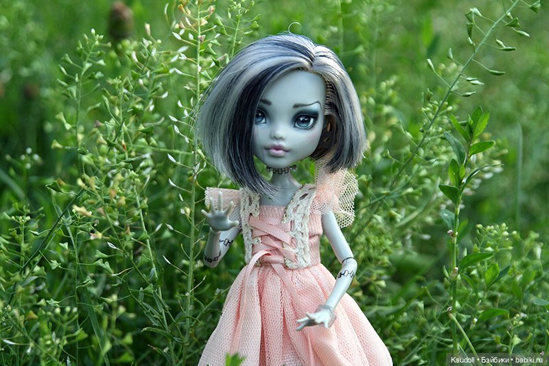 Фрэнки Штейн — Куклы Monster High и Ever After High: G1 (фото 3)