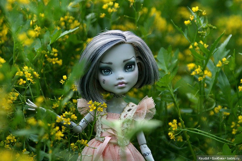 Фрэнки Штейн — Куклы Monster High и Ever After High: G1