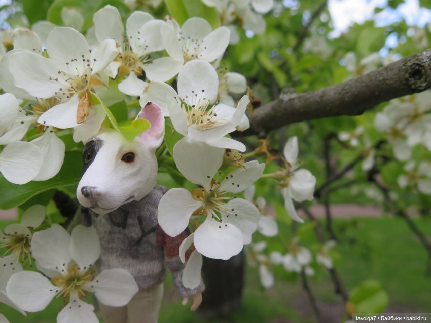 Сады Коломенского в сложный май 2024