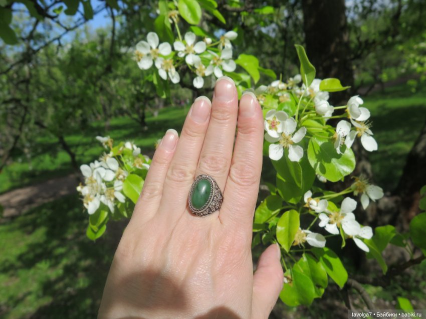 Сады Коломенского в сложный май 2024