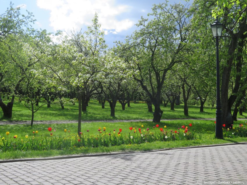 Сады Коломенского в сложный май 2024