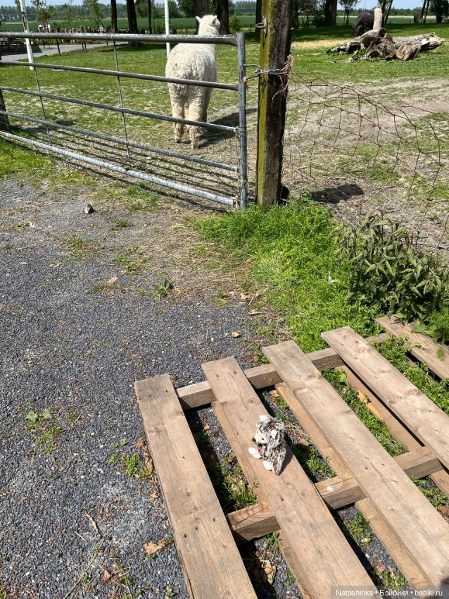 Музыкальная История 124 — Туризм и путешествия: фотоотчеты из поездок