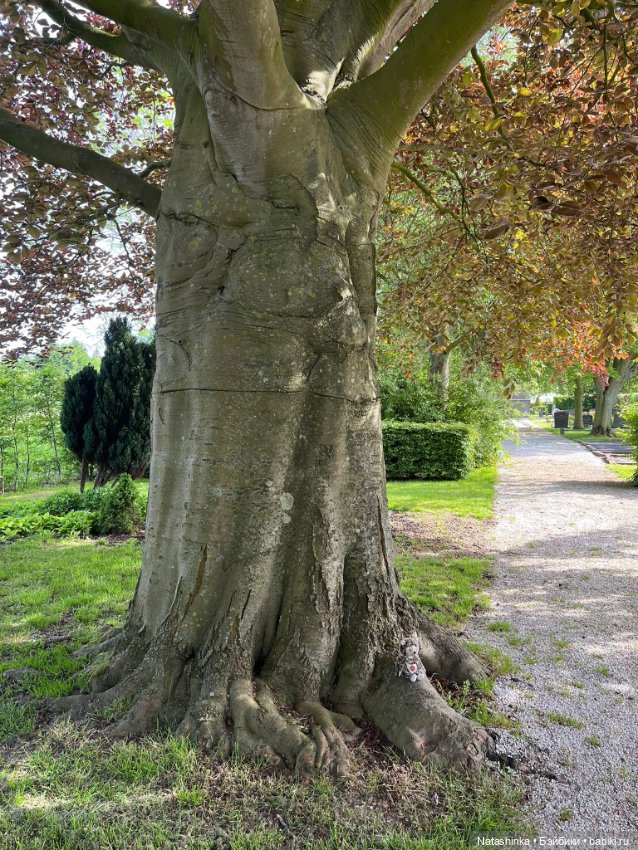 Музыкальная История 124 — Туризм и путешествия: фотоотчеты из поездок