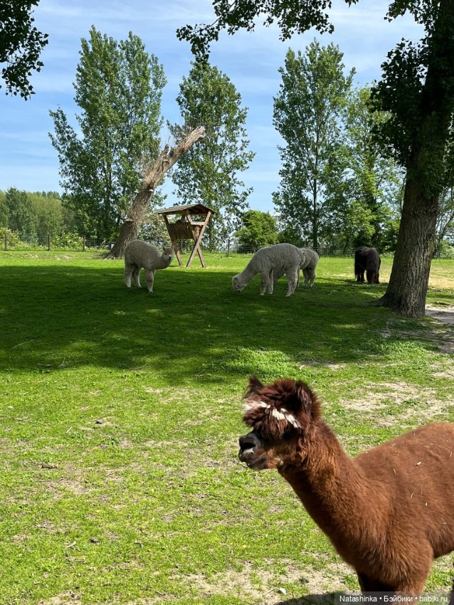 Музыкальная История 124 — Туризм и путешествия: фотоотчеты из поездок