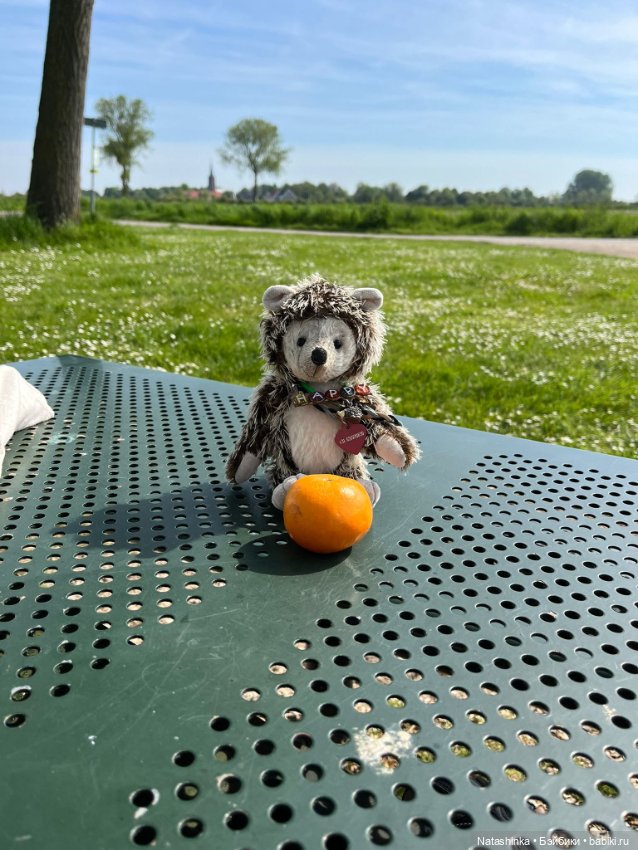 Музыкальная История 124 — Туризм и путешествия: фотоотчеты из поездок (фото 4)