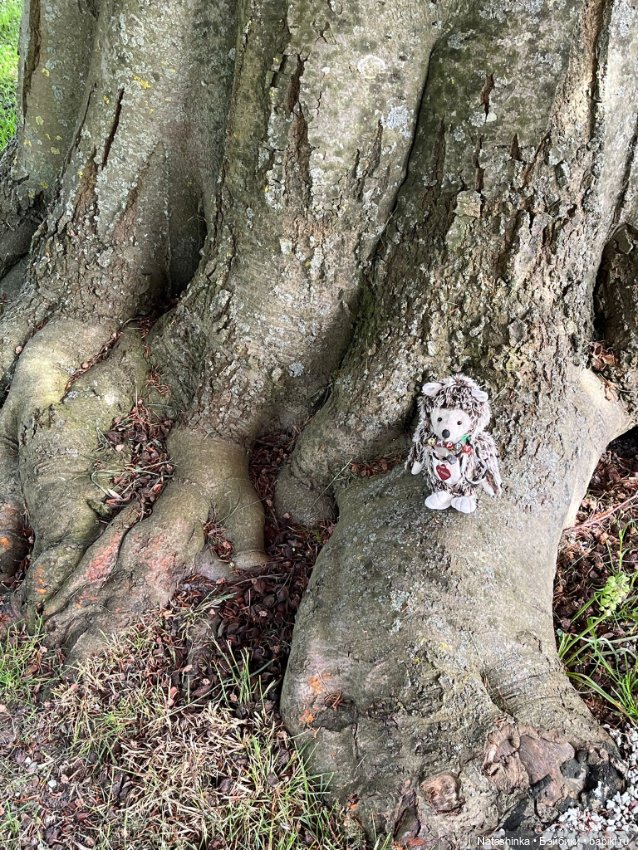 Музыкальная История 124 — Туризм и путешествия: фотоотчеты из поездок (фото 2)