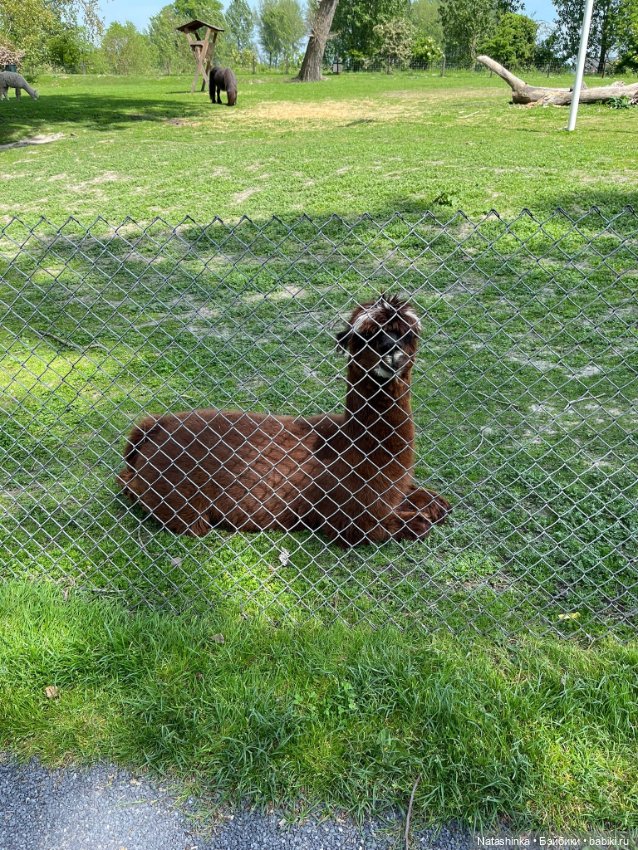 Музыкальная История 124 — Туризм и путешествия: фотоотчеты из поездок (фото 10)