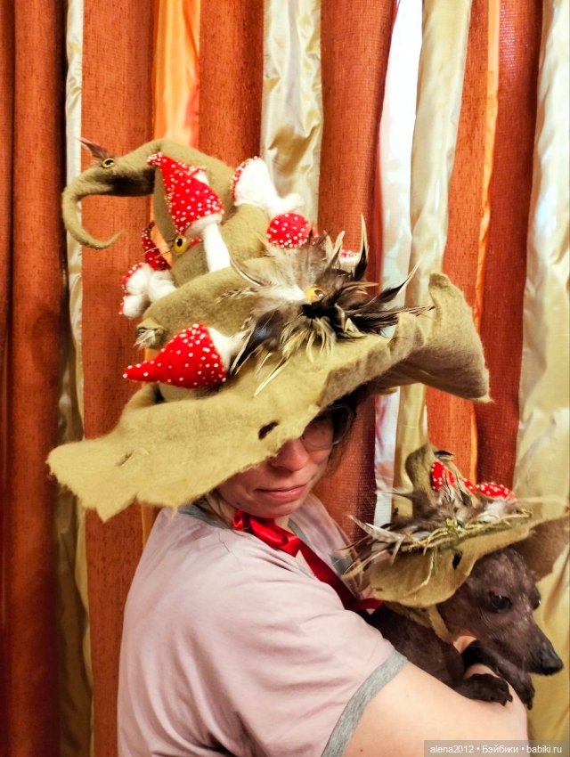 Феечки или ведьмочки? Мнения разделились