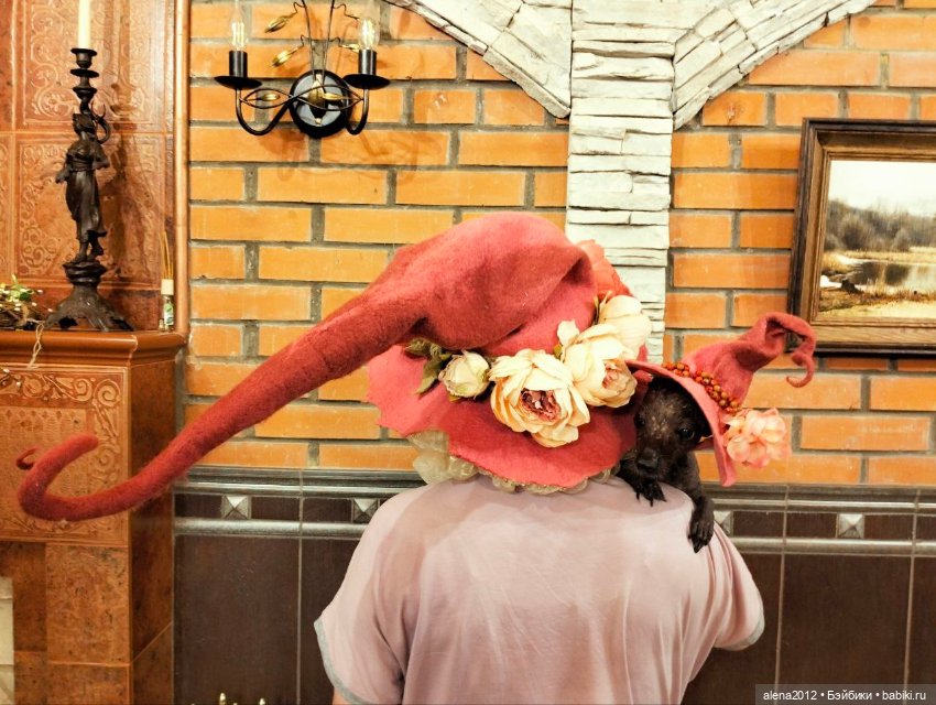 Феечки или ведьмочки? Мнения разделились