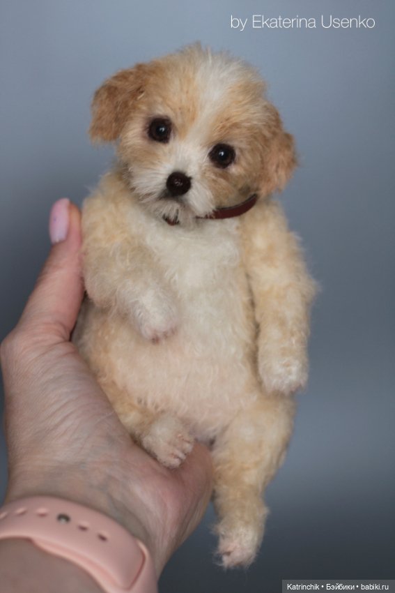 Щенок Тедди — Авторские мишки Тедди и друзья: фото (фото 10)