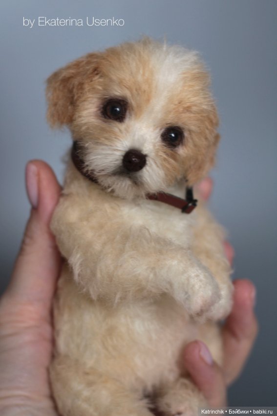 Щенок Тедди — Авторские мишки Тедди и друзья: фото (фото 2)