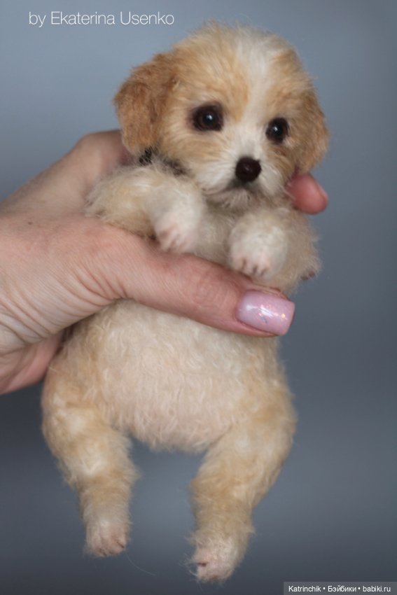 Щенок Тедди — Авторские мишки Тедди и друзья: фото (фото 8)