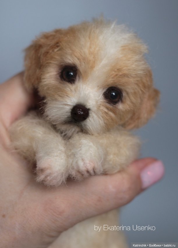 Щенок Тедди — Авторские мишки Тедди и друзья: фото