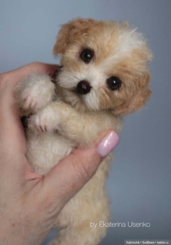 Щенок Тедди — Авторские мишки Тедди и друзья: фото (фото 5)