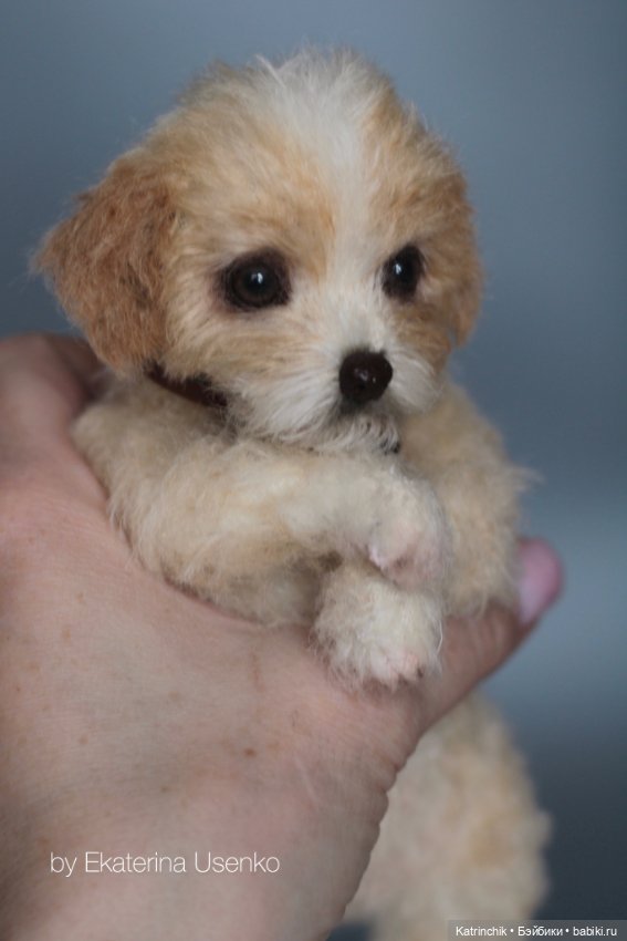 Щенок Тедди — Авторские мишки Тедди и друзья: фото