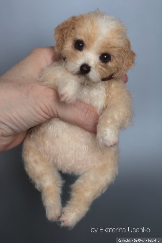 Щенок Тедди — Авторские мишки Тедди и друзья: фото (фото 3)