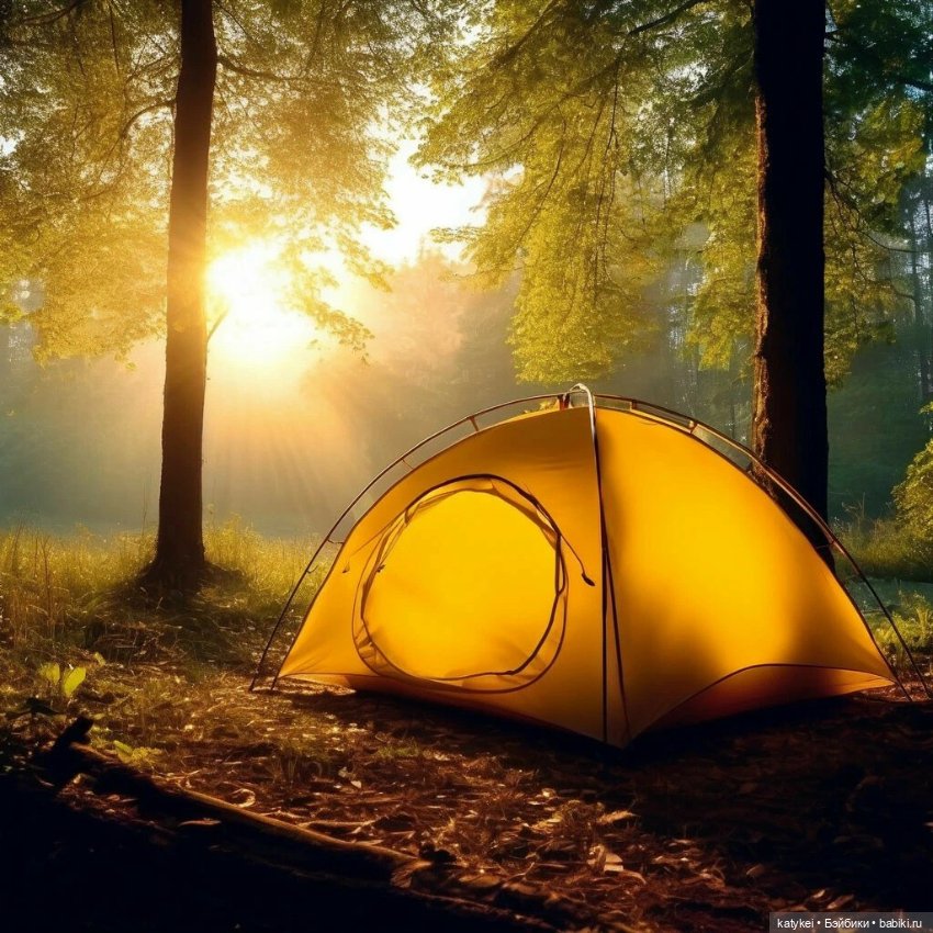 Кот и Кит. Интересная деталь