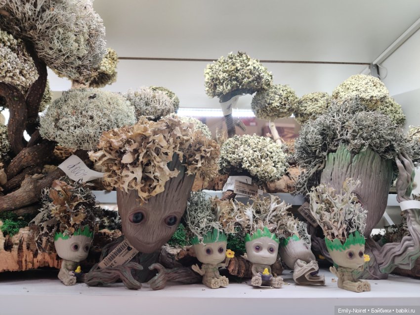 "Твоя полка" — Туризм и путешествия: фотоотчеты из поездок