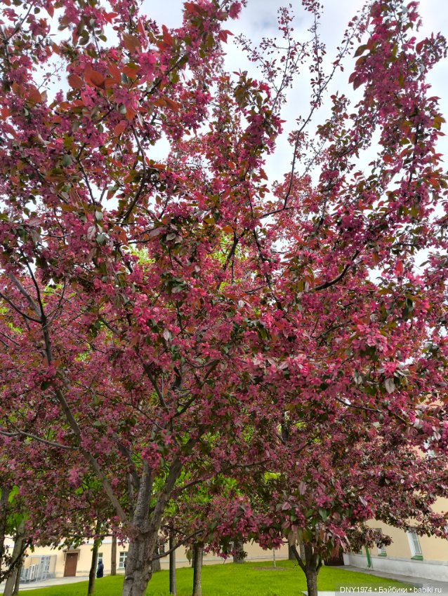 Прогулка Софи — Куклы Milim Studio (Милим): российские БЖД (фото 9)