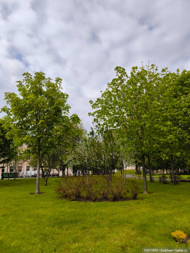 Прогулка Софи — Куклы Milim Studio (Милим): российские БЖД (фото 6)