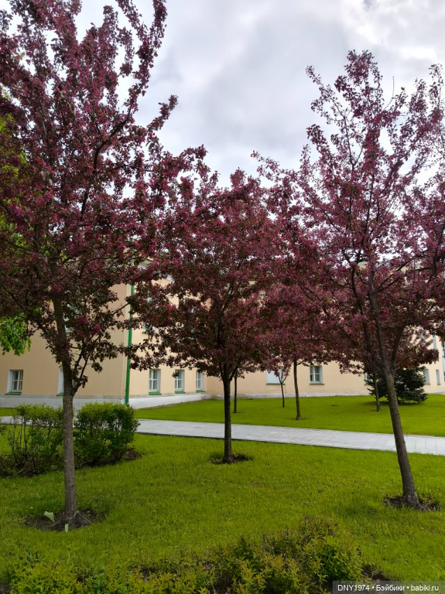 Прогулка Софи — Куклы Milim Studio (Милим): российские БЖД (фото 10)