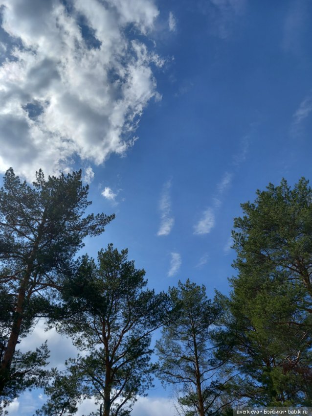 На манеже всё те же — Винтажные куклы ГДР (Немки): Бигги