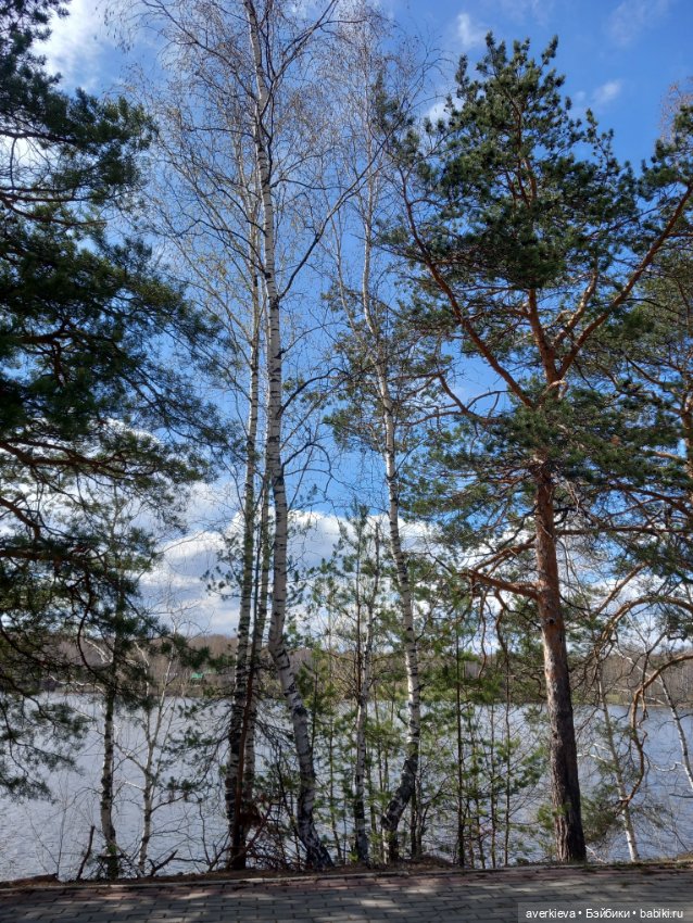 На манеже всё те же — Винтажные куклы ГДР (Немки): Бигги