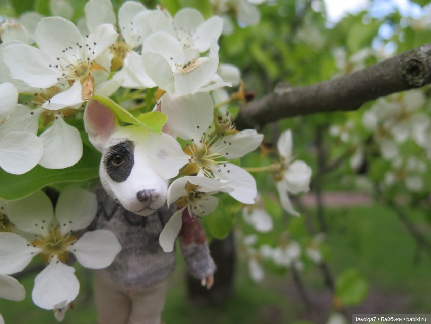 В Коломенское большой компанией