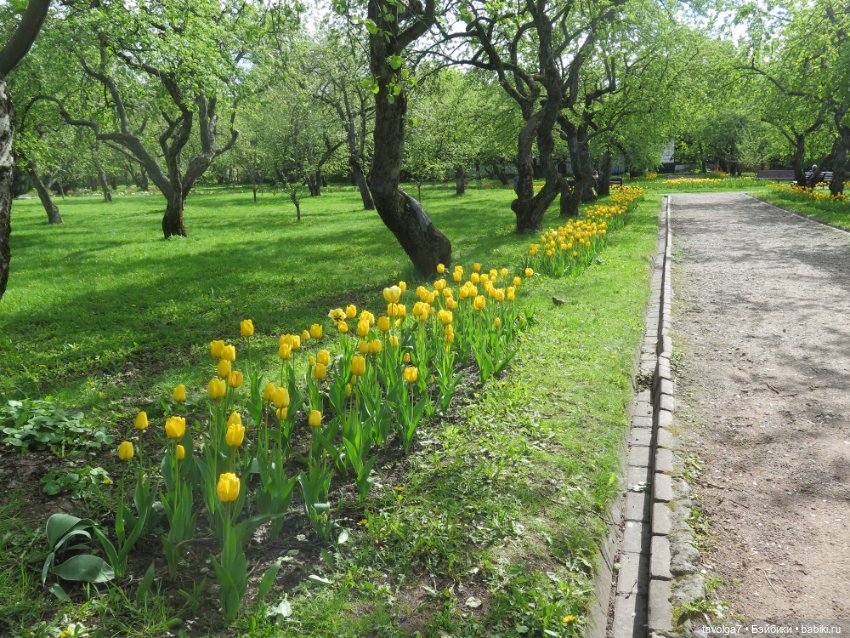 В Коломенское большой компанией